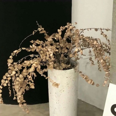 Furry插画氛围灵感FurryQQ群